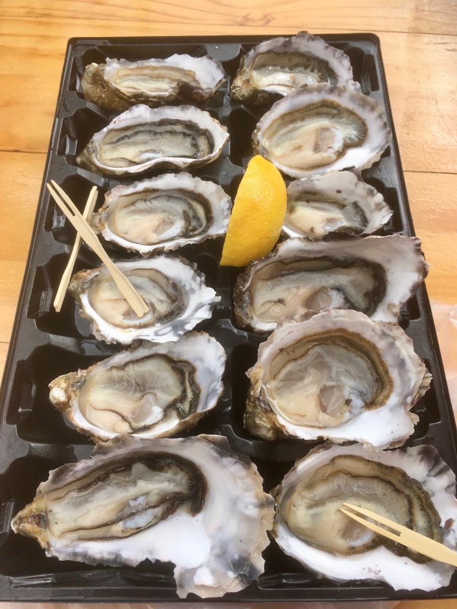 Tray of one dozen Bruny Island oysters with lime adn timber picks