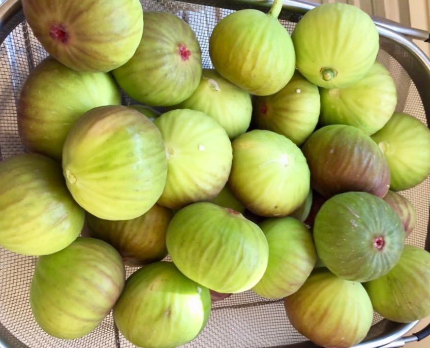 Collander filled with lots of fresh figs