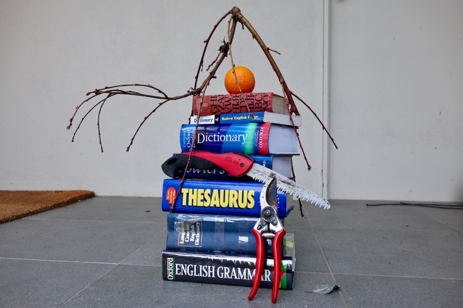 pile of dictionaries, pruning implements and an orange