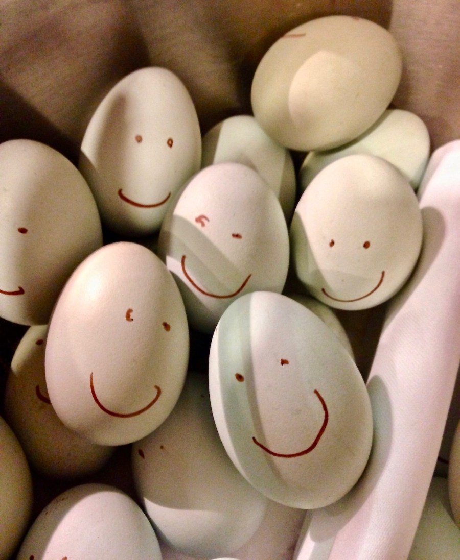 picture of a basket of eggs with faces drawn on them