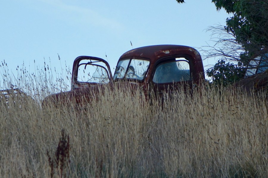 rusted old truck in long grass