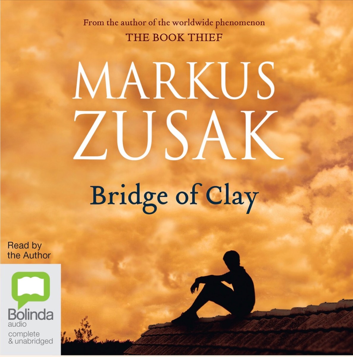 Bridge Of Clay Summary